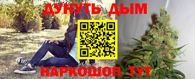 ешки Боровичи