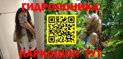 мдпв Брянск