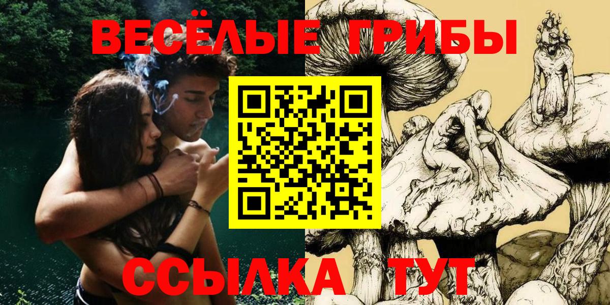 Крымск  Галлюциногенные грибы Psilocybine cubensis  Вход с VPN 