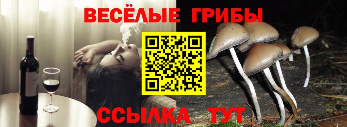 Галлюциногенные грибы GOLDEN TEACHER Крымск